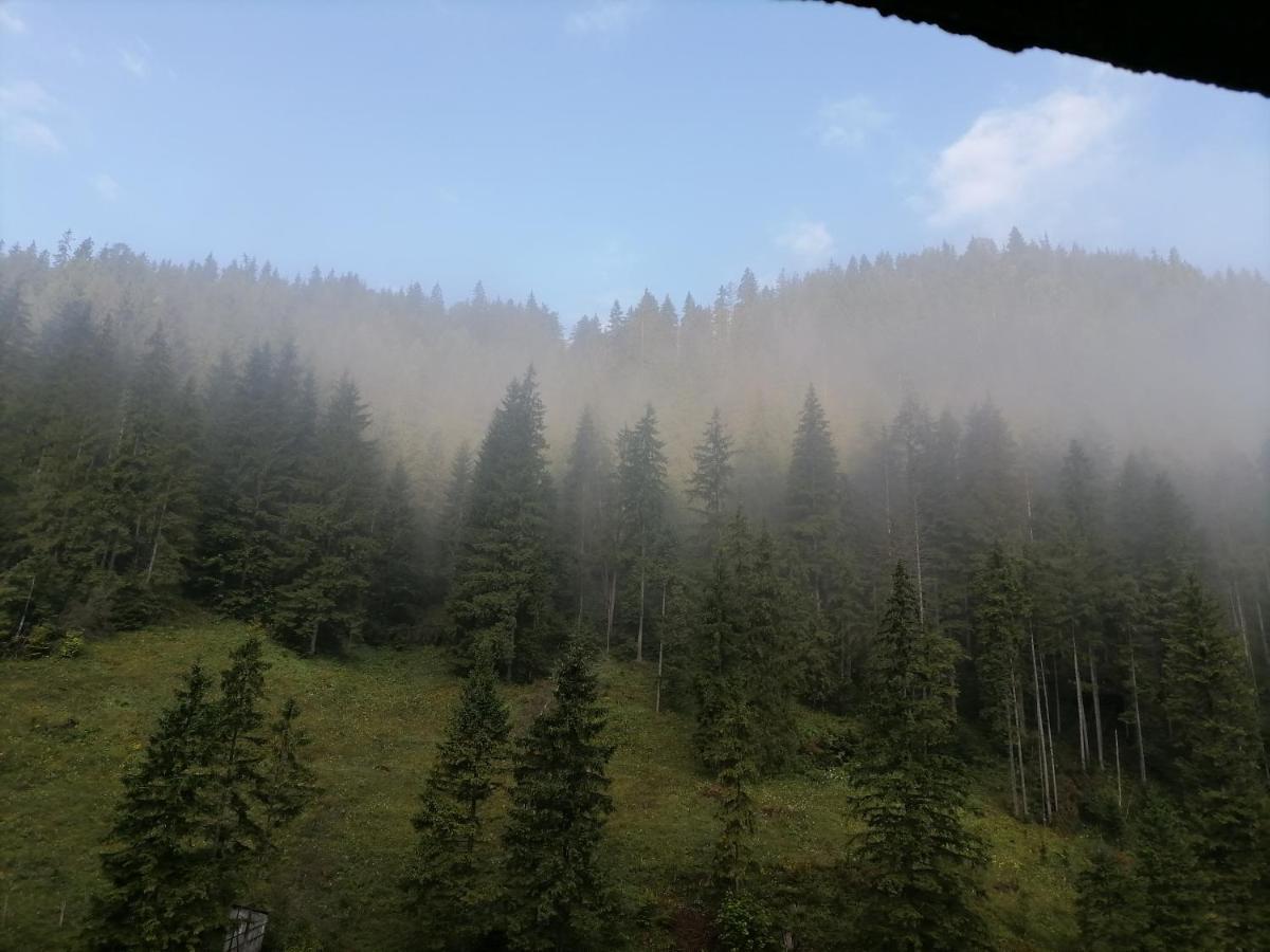 Pensiunea Izabel Lacul Roşu Exterior foto