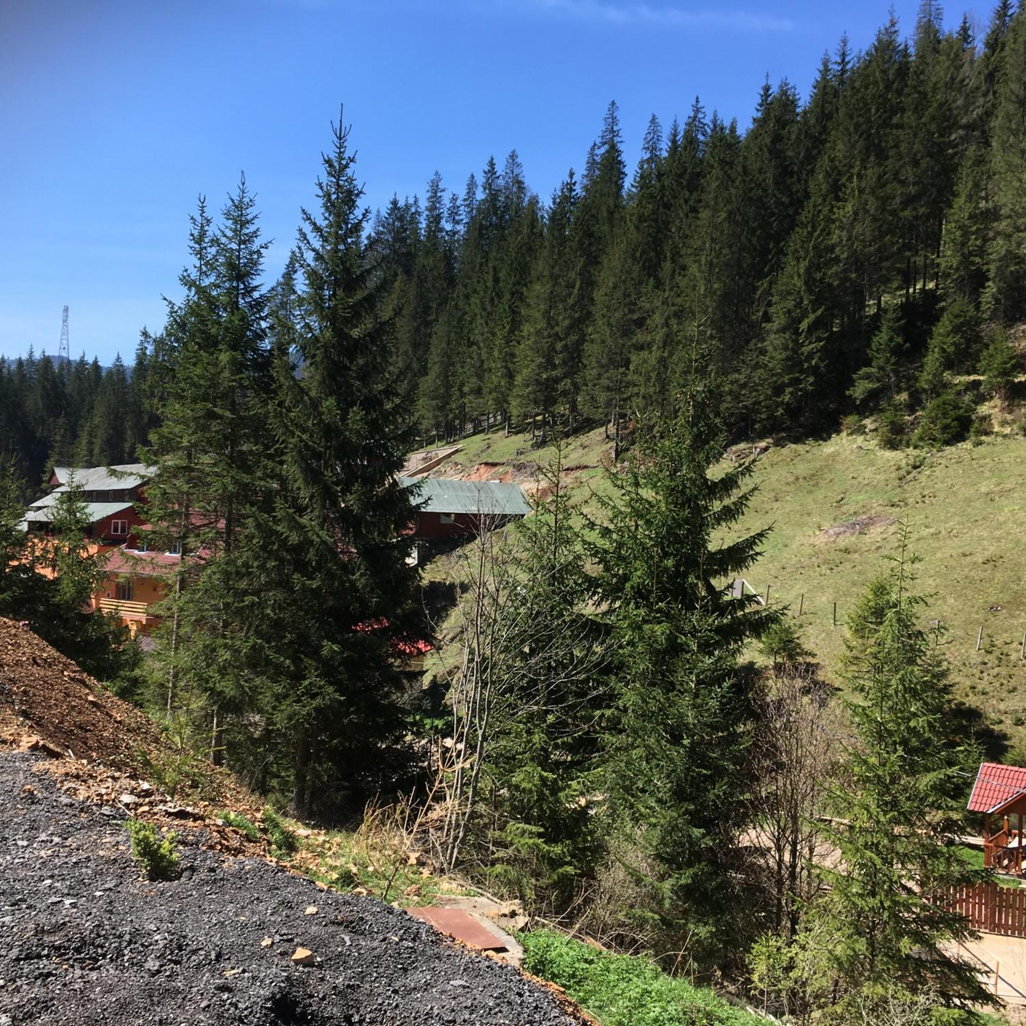 Pensiunea Izabel Lacul Roşu Exterior foto